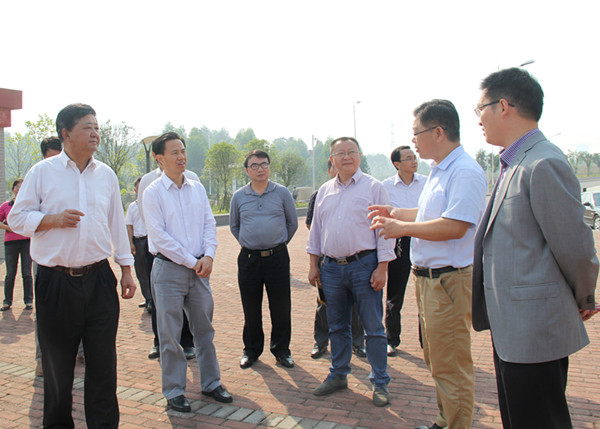 1445225127114022668.jpg 3.jpg