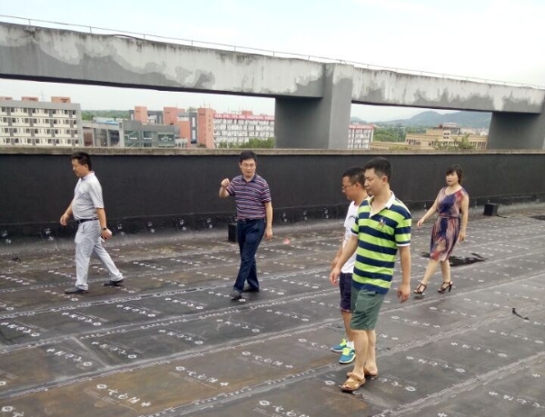 1502268736703094493.jpg qq图片20170809164126_副本.jpg